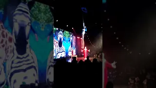 שירים ונפלאות בממלכת החלומות 