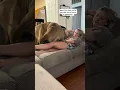 Download Lagu My vicious GIANT doggo brutally squashes my Daughter #puppy #shorts #funnydogs