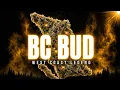 BC Bud The Canadian Weed That Took Over The West Coast