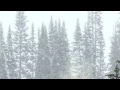 Download Lagu Winter Storm Sound - 1 Hours Of Ambient Snowstorm, Blizzard Sounds, Heavy Wind For Relaxation