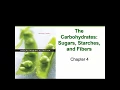 The Carbohydrates Chapter 4