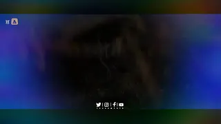 حالات واتس كليب مهرجان دنيا المهالك  حمو بيكا  مودي امين دندنها