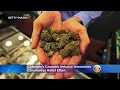 Colorado s Cannabis Industry Announces Coronavirus Relief Effort