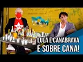 Lagu Lula e Canabrava. É sobre Cana!