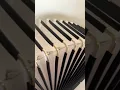 Download Lagu Brand New Weltmeister Achat 80 Red Piano Accordion made in Germany 2023