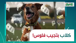                                                                                                      دندنها
