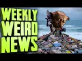 Dobby s Grave Desecration - Weekly Weird News