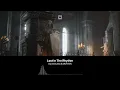 David Guetta & MORTEN - Lost In The Rhythm (Extended Mix)