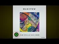 ManyFew - How Would You Know'