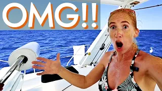 COLOMBIA: NOT what we expected! [Ep70 RED SEAS]