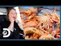 Sophia Bob Nielson Delivers A SPECTACULAR 400 000 Crab Haul Deadliest Catch