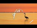 Maria Becerra, FMK, Beret - AYNEA REMIX (Letra/Lyrics)