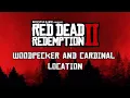 Rdr2 - Woodpecker and Cardinal Location