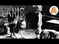 Horror animation about survival in a hostile world Canis - by Marc Riba Anna Solanas