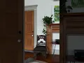 Vintage Historic Apartment Tour thrifted furniture and cozy vibes
