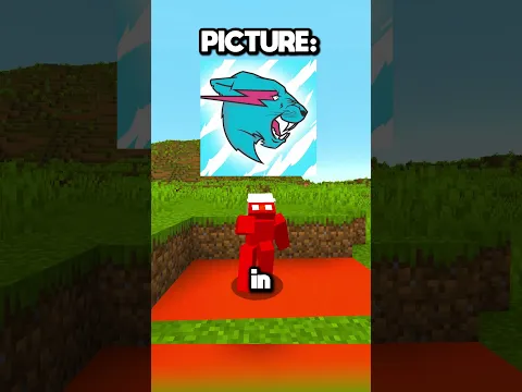 Minecraft, But I Can't Touch the Colors of Your Picture! πΈπ«΅