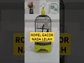 TRUCUKAN GACOR ROPEL PANJANG nada lelah rasa cucak rowo