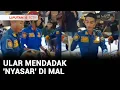 Download Lagu Ular 'Nyasar' di Mal, Pengunjung dan Karyawan Panik | Liputan 6