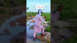 اغنية بري تلى تو قرقى الفنان ادم ود بركة اغاني زغاوة 