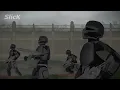 Tyrannosaurus Rex and Spinosaurus VS Indominus Rex and Giganotosaurus | Jurassic World | Animation
