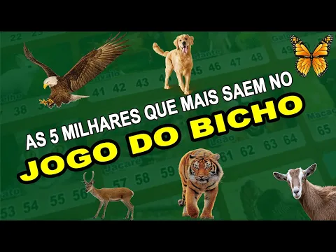 Download MP3 🍀 AS 5 MILHARES QUE MAIS SAEM NO JOGO DO BICHO 🍀