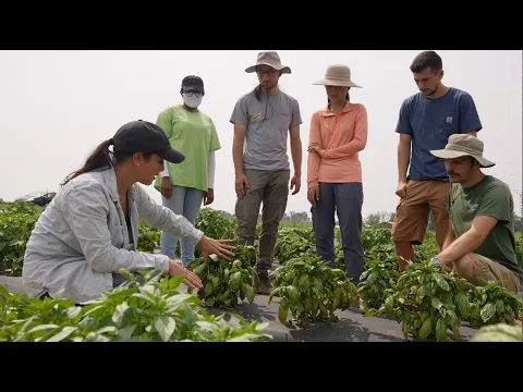 Fields of Devotion science documentary trailer