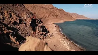 لو كنوز الدنيا ما تسوى شبر واحد فيها عيد تحرير سيناء جيش الشعب درع الوطن 