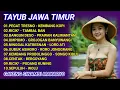 TAYUB JAWA TIMUR FULL ALBUM TERBARU