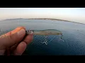 Download Lagu Big mackerel on topwater Xorus Patchinko 85 Adriatic Sea Crikvenica
