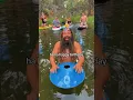 Download Lagu When’s YOUR Birthday?? 🥳🤷‍♂️🥳 #birthday #happybirthday #summer #beard #dog  @NovaPansHandpans