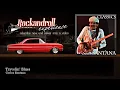 Carlos Santana - Travelin' Blues