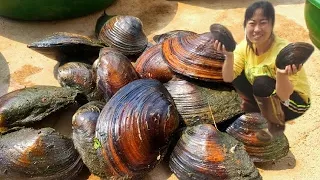 A bumper harvest of giant shellfish. Extracting pearls.。Sea Agate