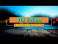 Download Lagu Via Vallen - Bisane Mung Nyawang (Lirik)