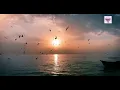 رامي صبرى ... النهايات أخلاق  -  Ramy Sabry