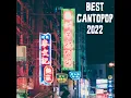 心酸的情歌 - 巫啟賢