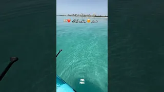 جنة جنة جنة تسلم يا وطنا مدينة صور جنوب لبنان 