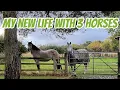 Download Lagu LIFE WITH 3 HORSES 