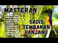 Lagu 🔴 GACOR SADIS MENTAL KUAT MASTERAN MURAI BATU GACOR