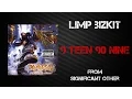 Lagu Limp Bizkit - 9 Teen 90 Nine [Lyrics Video]