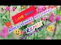 Download Lagu Apple pennae Remix song..