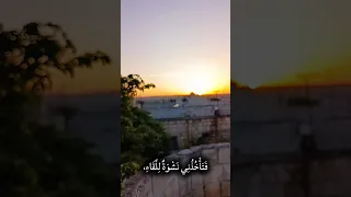 تمر ببالي كطيف جميل شاكر الخلف 