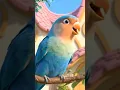Download Lagu The Cat and Lovebird
