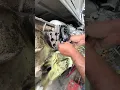 Dt12 split pin replacement