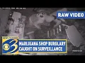 Marijuana dispensary burglary suspects recorded dropping through shop s ceiling
