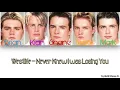 Westlife - Never Knew I was Losing You (Color Coded Lyrics)
