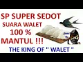 Download Lagu SWIFLET | SP | SUARA WALET TERBAIK BLASTERAN khayangan sedot panggil, inap dan anakan | SWIFTLET