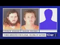 3 arrested in alligator poaching investigation in Sarasota Manatee and Hardee counties