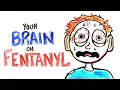 Your Brain On Fentanyl FIXED