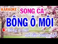 Download Lagu Bông Ô Môi Karaoke Nhạc Sống Song Ca - Phối Mới Dễ Hát - Nhật Nguyễn