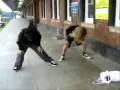 HEADBANGING - compilation